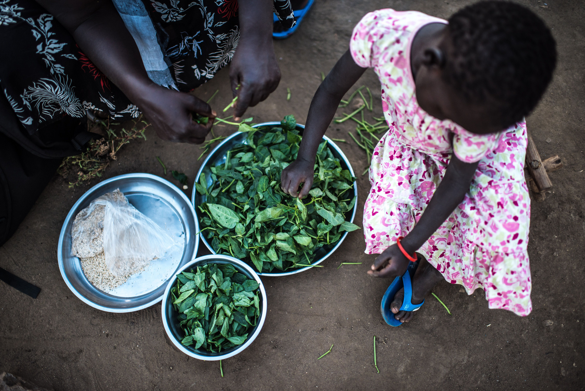 Beans and pea leaves grown by a refugee assisted by Caritas.